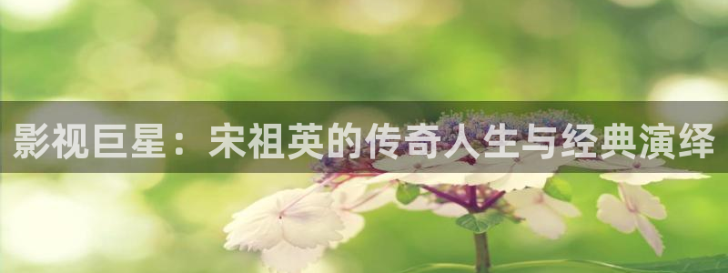 红叶电影院今日影讯