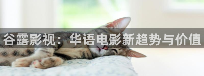 红叶影城电影