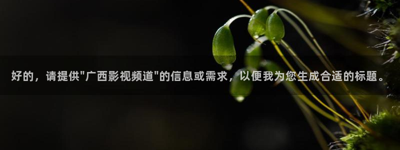 电影红叶