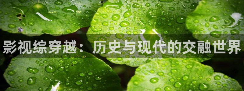 六安红叶电影院今日影讯：影视综穿越：历史与现代的交融世界