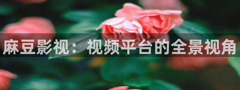 红叶影视：麻豆影视：视频平台的全景视角