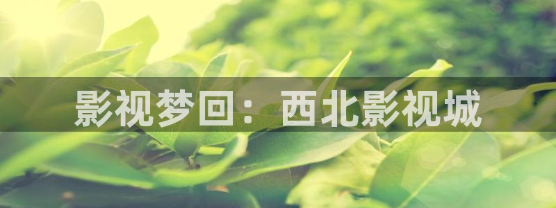 六安红叶影城电影：影视梦回：西北影视城