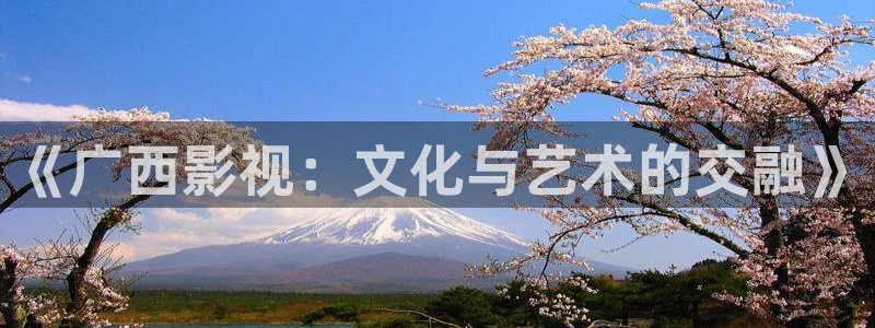 红叶影视官网