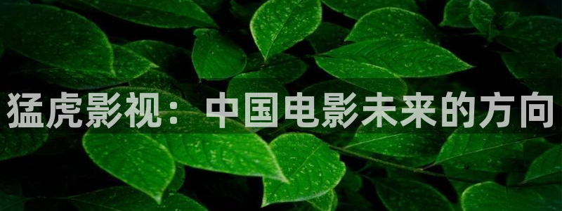 红叶影视：猛虎影视：中国电影未来的方向